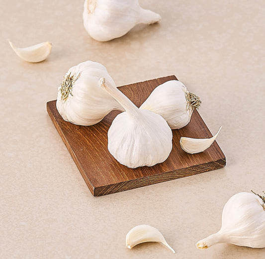 Garlic