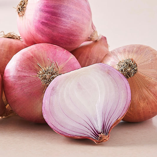 Onion