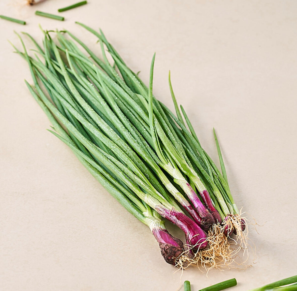 Spring onion