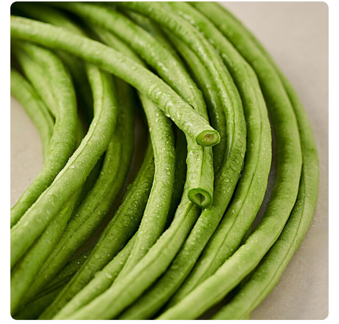 Beans cowpea