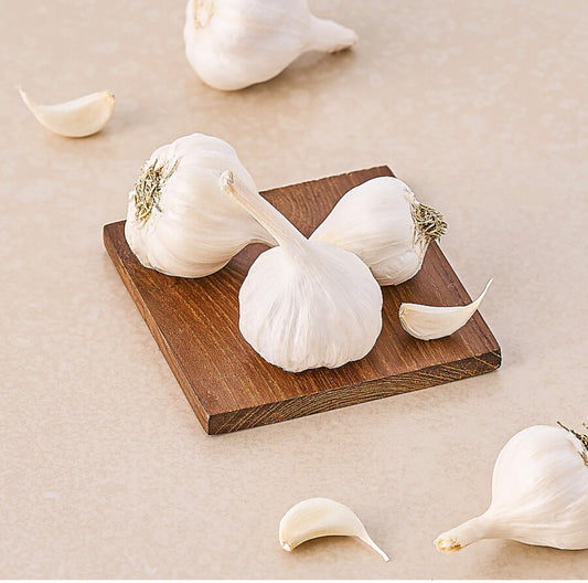 Garlic