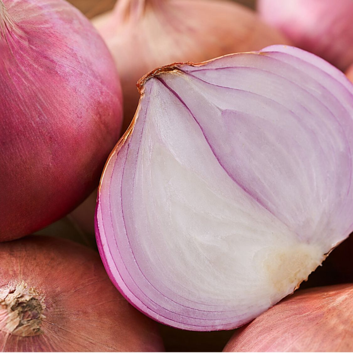 Onion