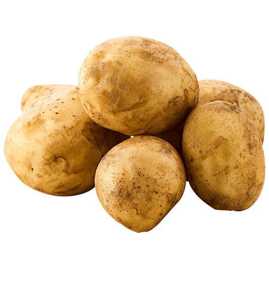 Potato