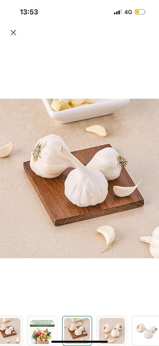 Garlic
