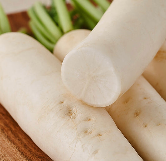 Radish