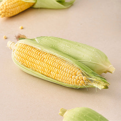 Corn