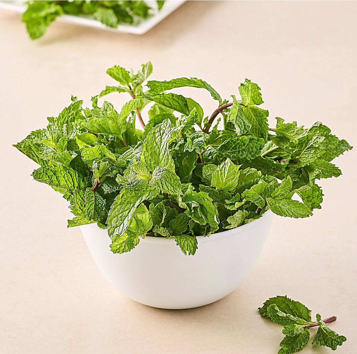 Mint Leav