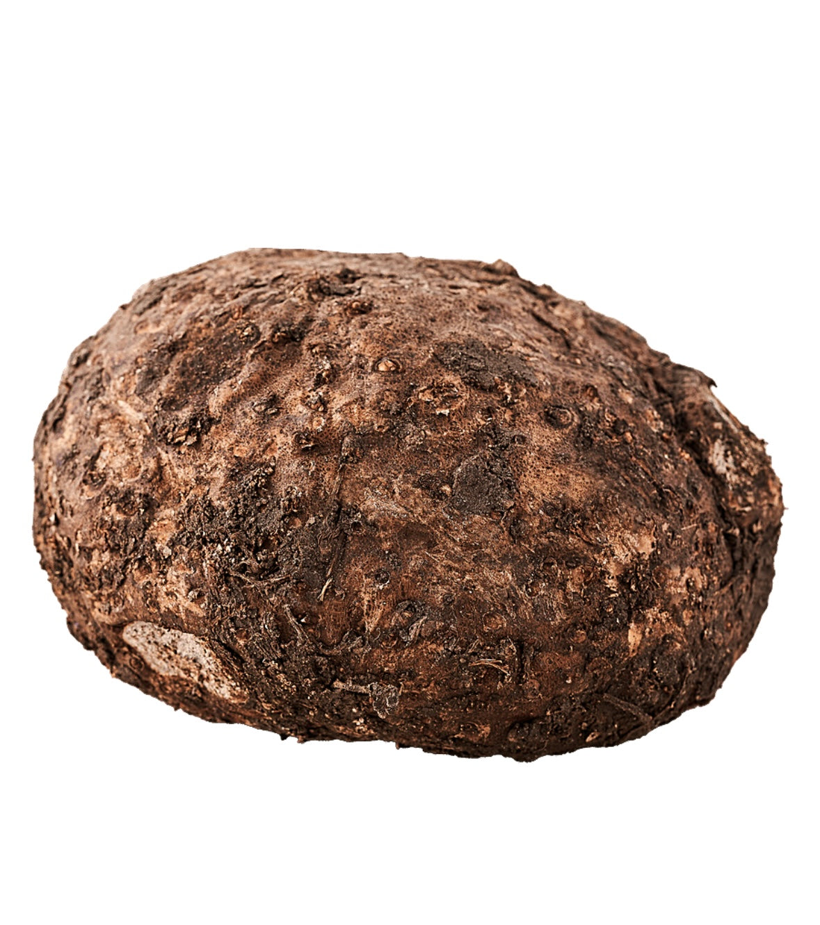 Yam
