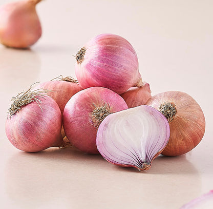 Onion