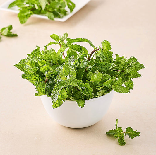 Mint Leav