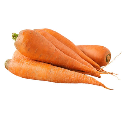 Carrot