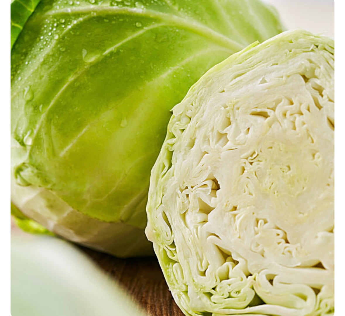 Cabbage