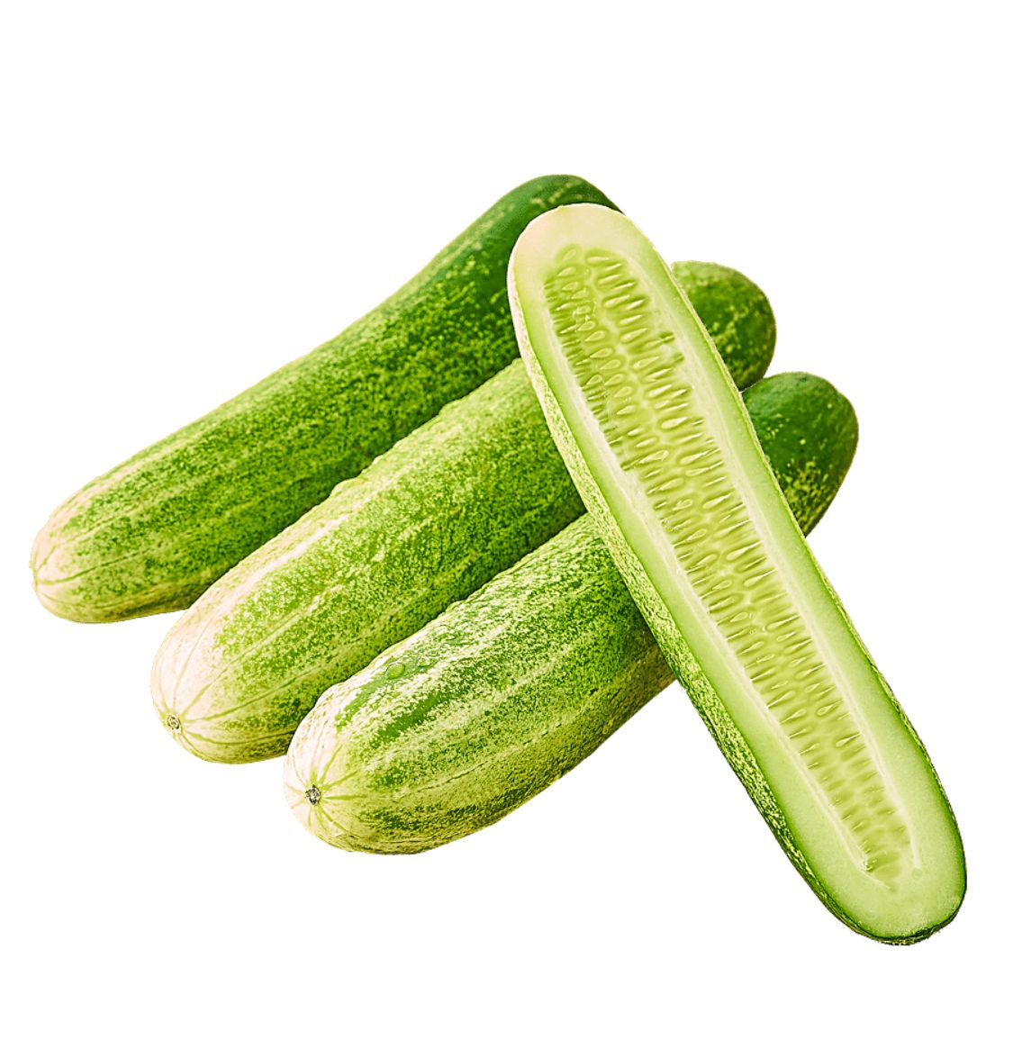 Cucumber