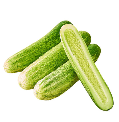 Cucumber