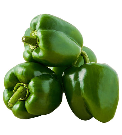 Capsicum