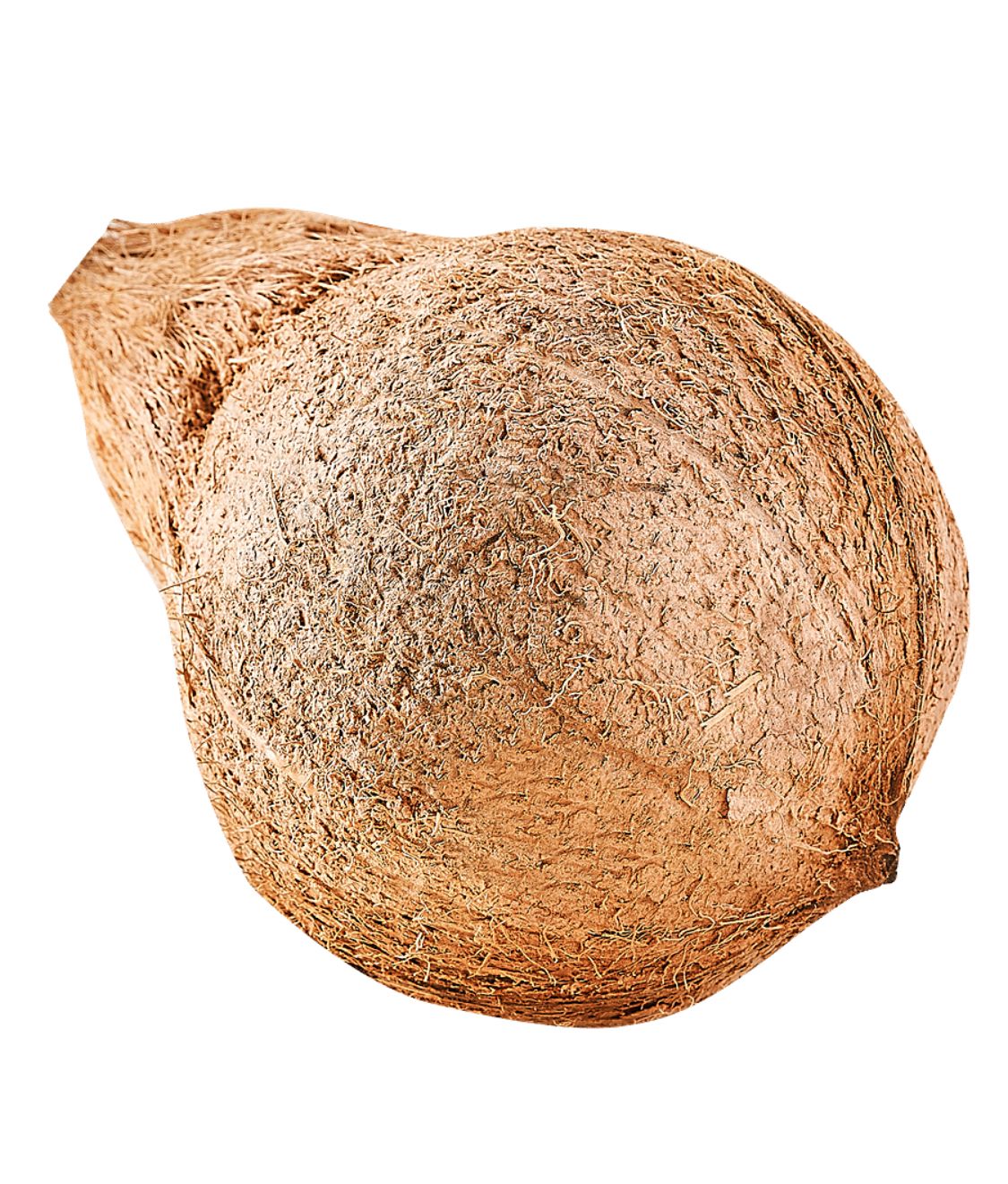 Coconut