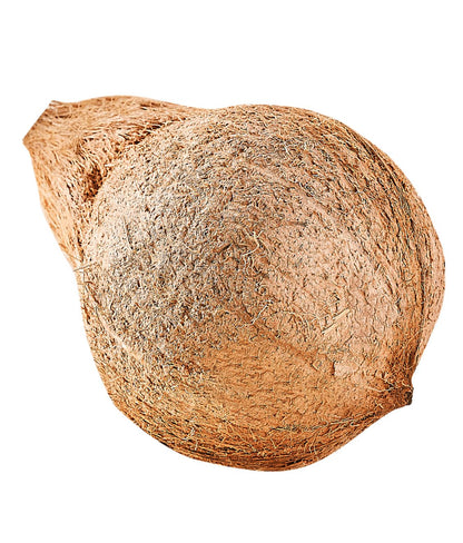 Coconut