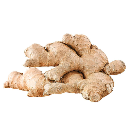 Ginger