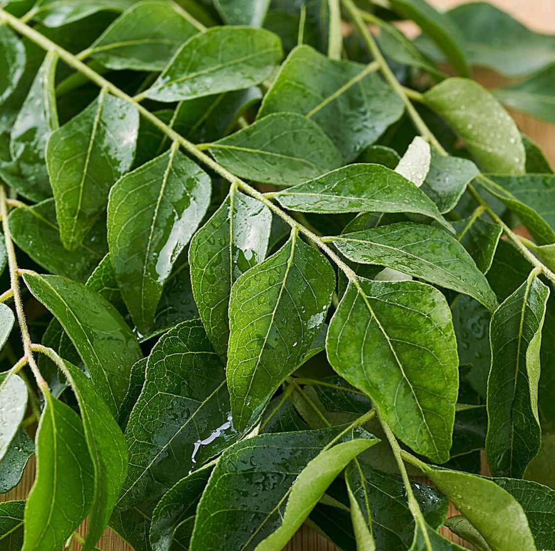 Curry leaves